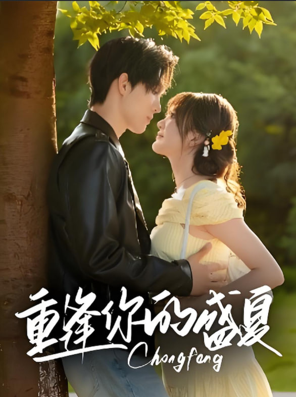 重逢你的盛夏封面图