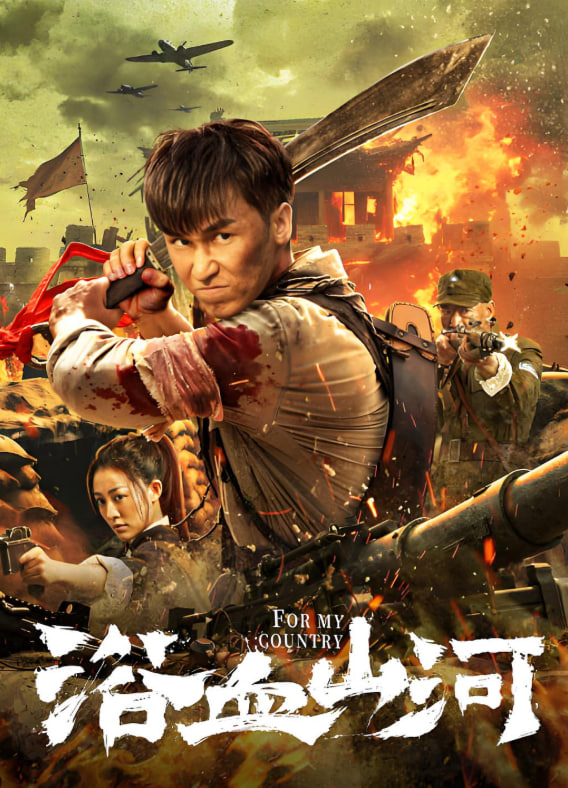 浴血山河封面图