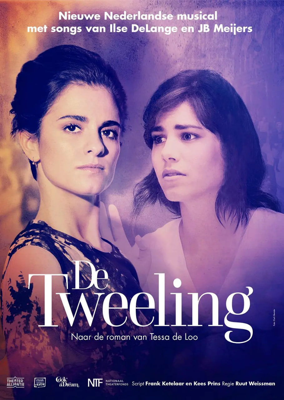 烽火孪生泪封面图