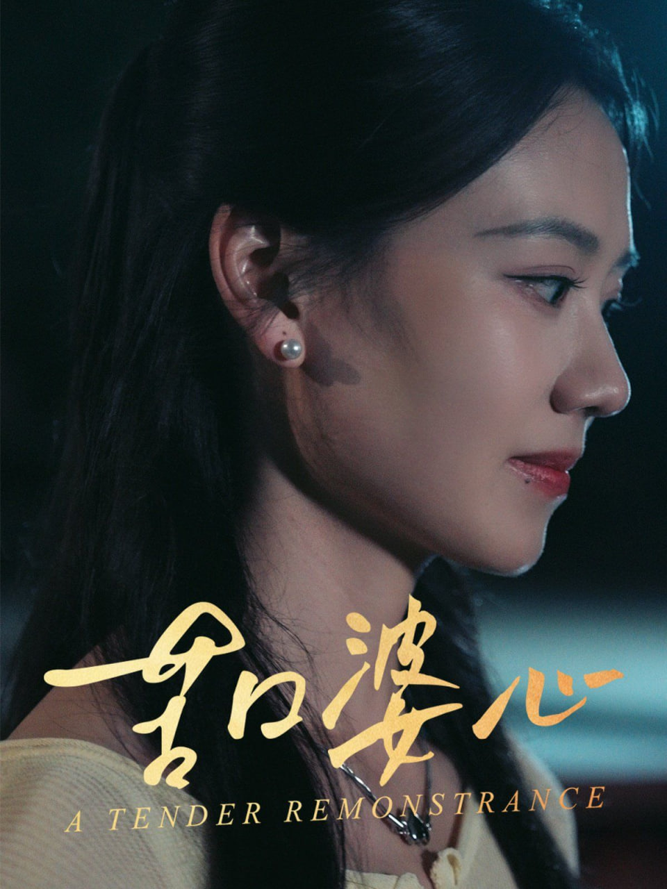 苦口婆心封面图