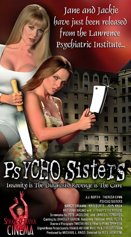 精神病姐妹封面图