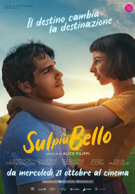 美丽至极封面图