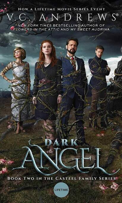 暗黑天使封面图