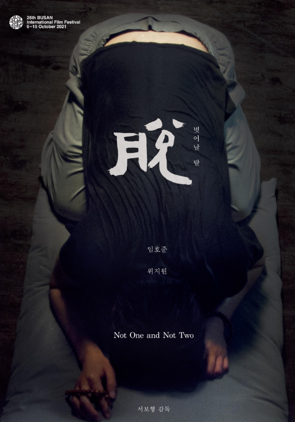 不是一，也不是二封面图