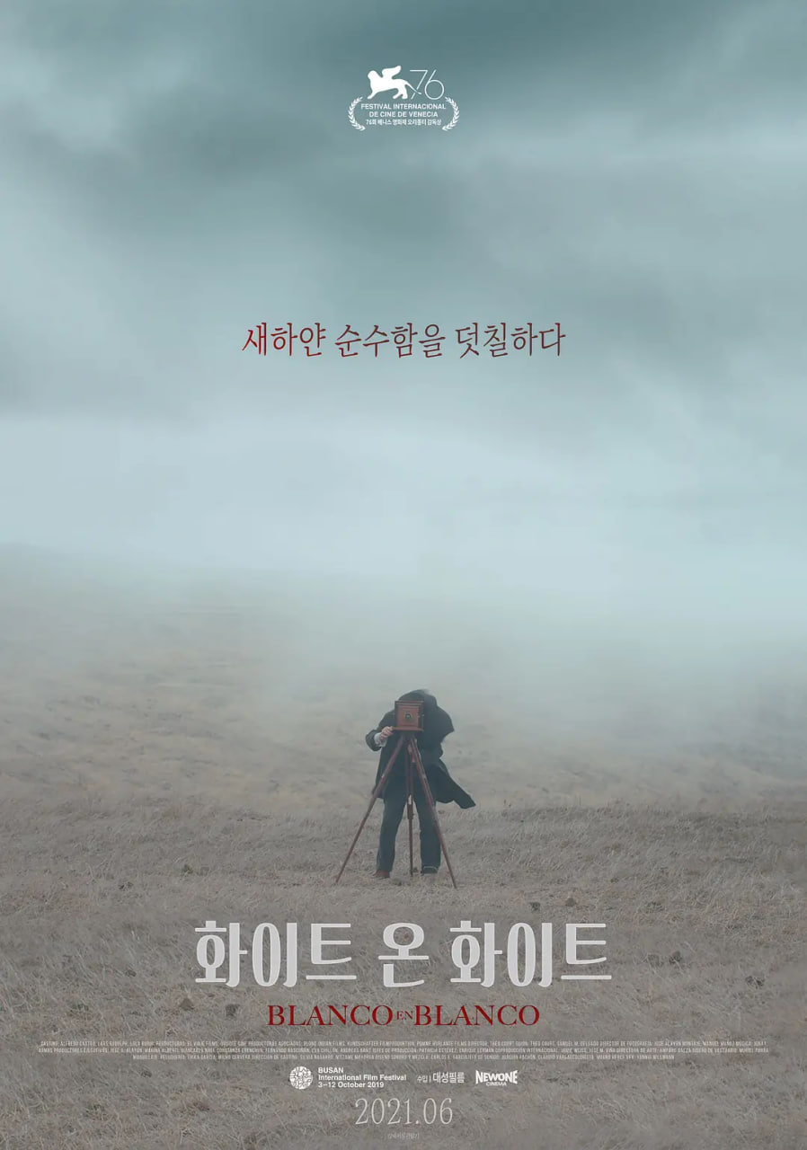 白上加白封面图