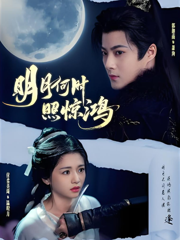 明月何时照惊鸿封面图