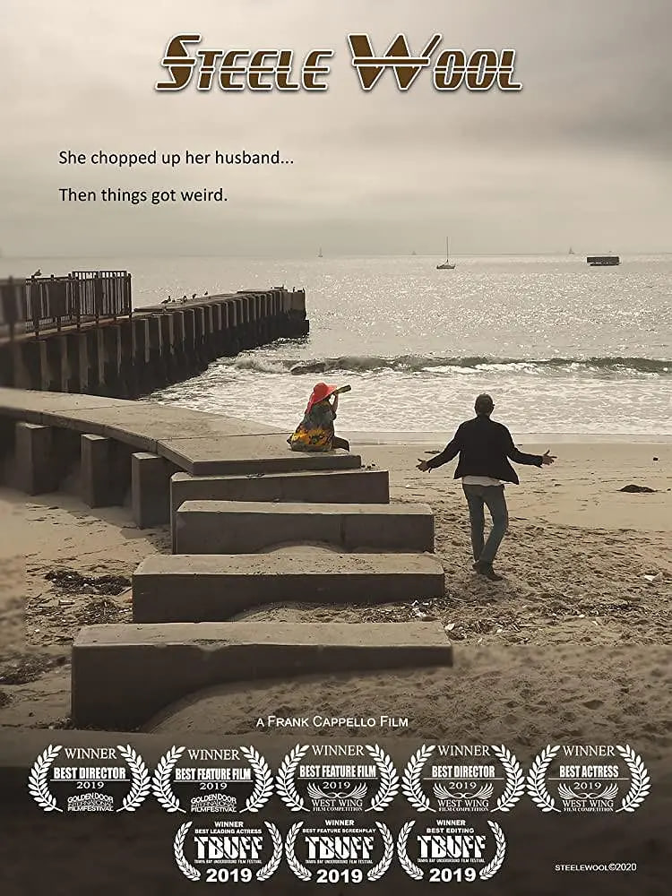 斯蒂尔·沃尔封面图