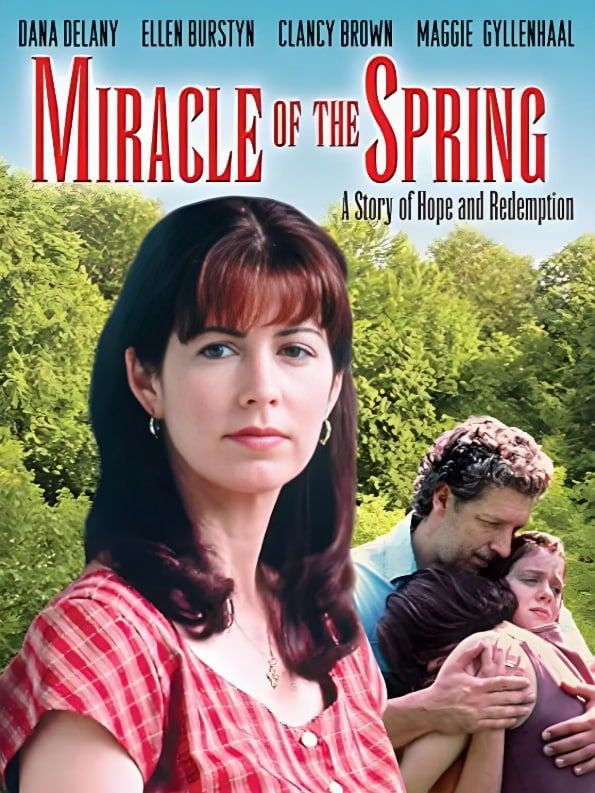 说谎者的守护神封面图