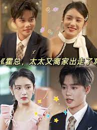 霍总，太太又离家出走了封面图