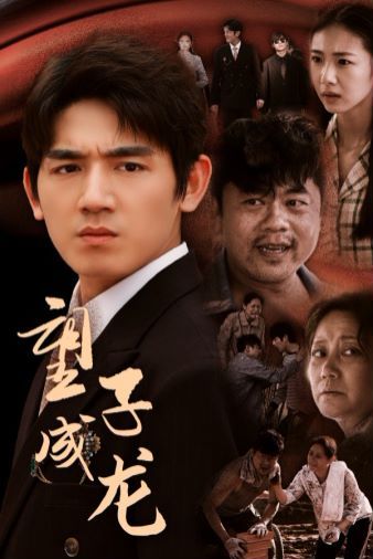 望子成龙封面图