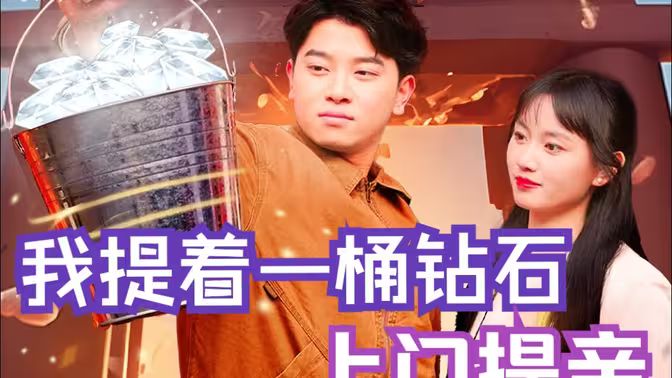 我提着一桶钻石上门提亲封面图
