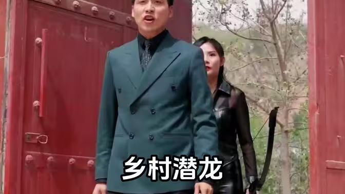 乡村潜龙封面图