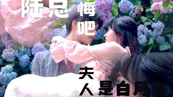 陆总忏悔吧，夫人才是白月光封面图