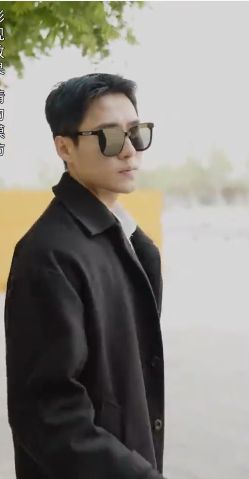 我成了失忆霸总的心尖宠封面图