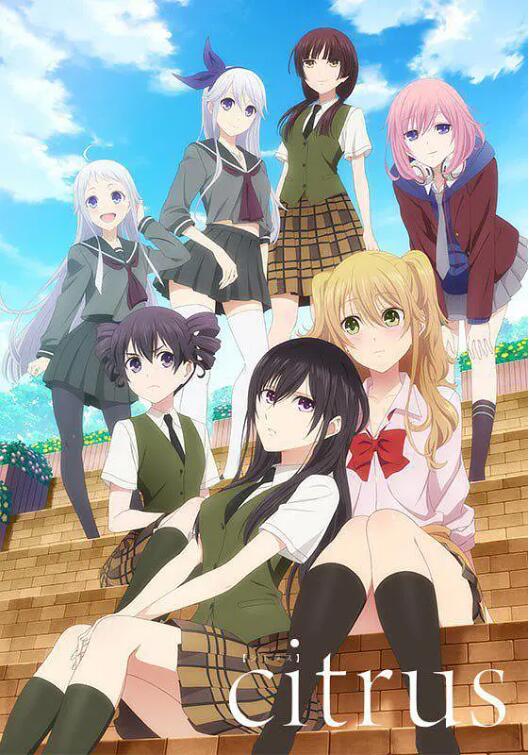 柑橘味香气封面图