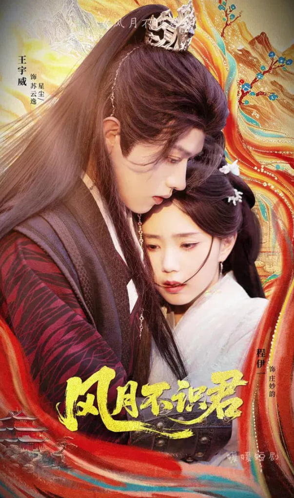 风月不识君封面图