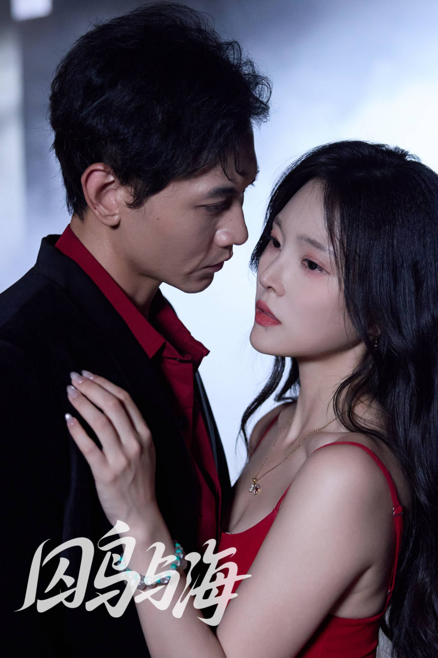 囚鸟与海封面图