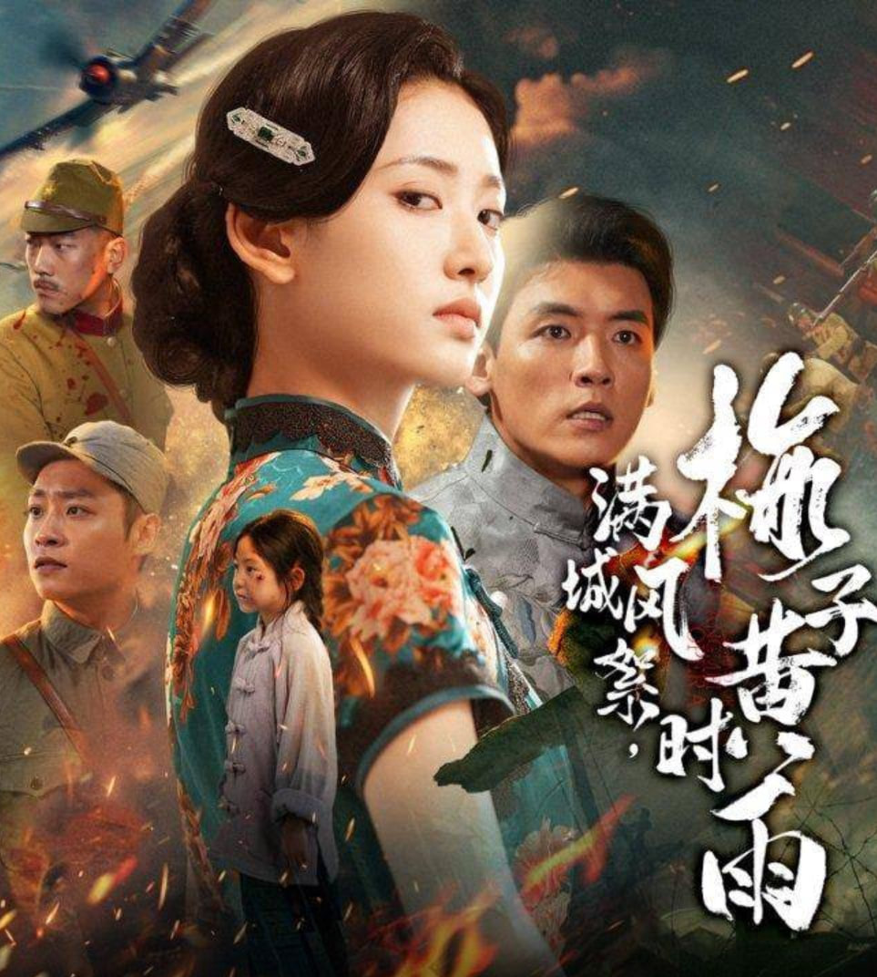 满城风絮梅子黄时雨封面图