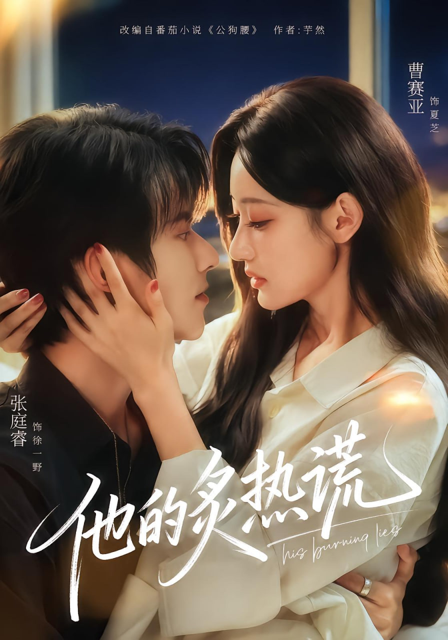 他的炙热谎封面图