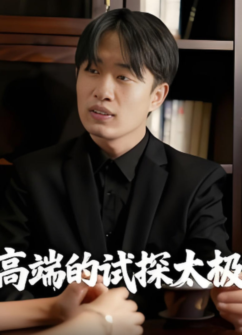 高端的试探太极封面图