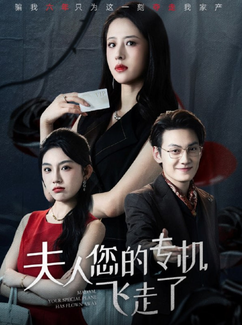 夫人您的专机飞走了封面图