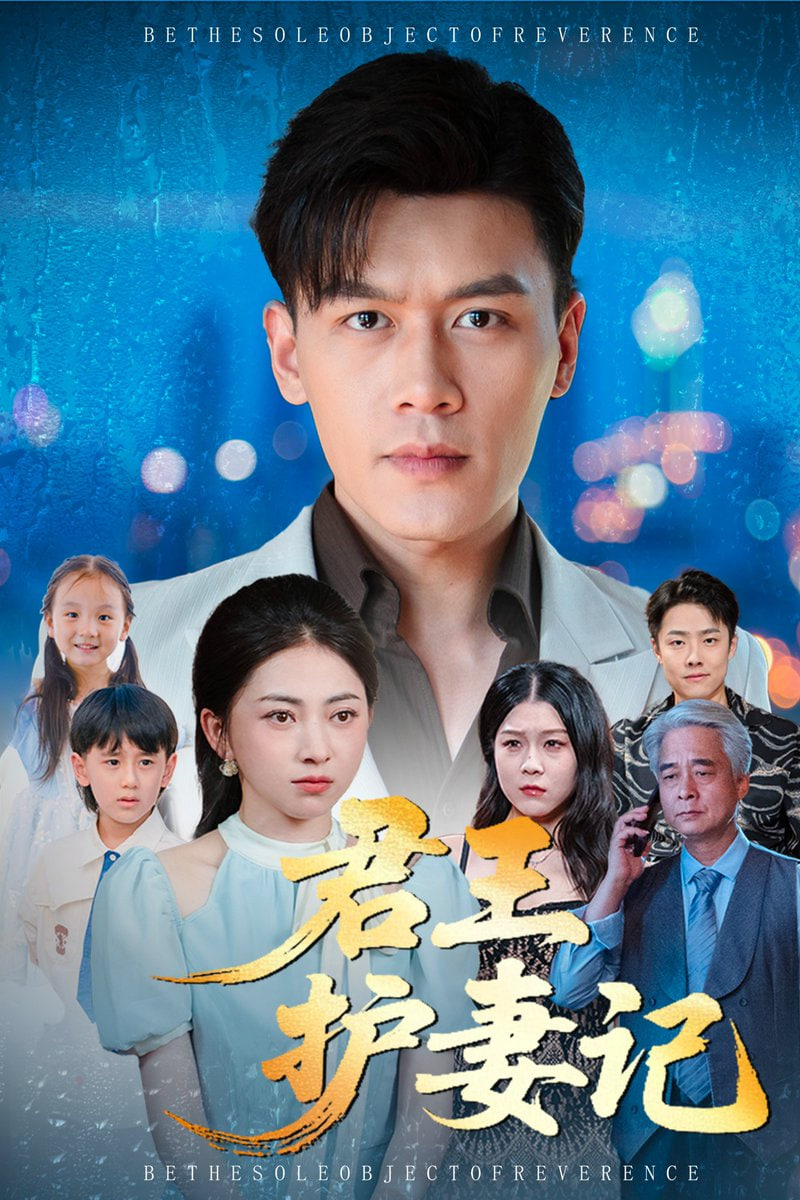 君王护妻记（独尊）封面图