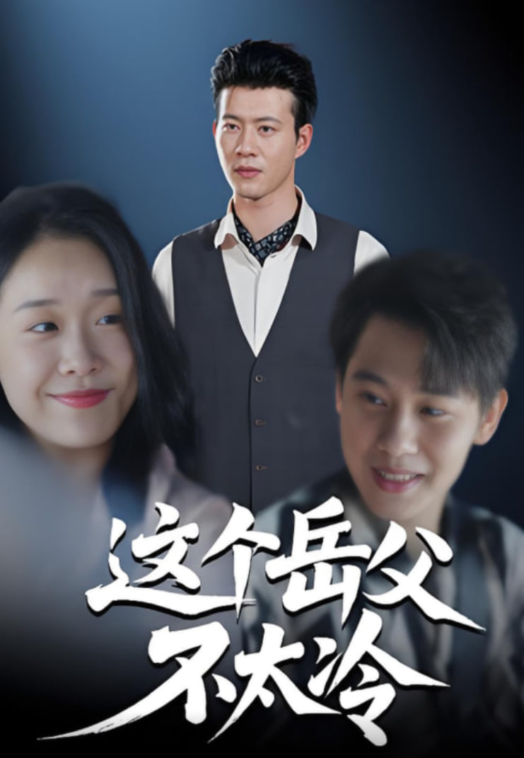 这个岳父不太冷封面图