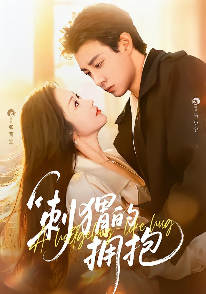 刺猬的拥抱封面图