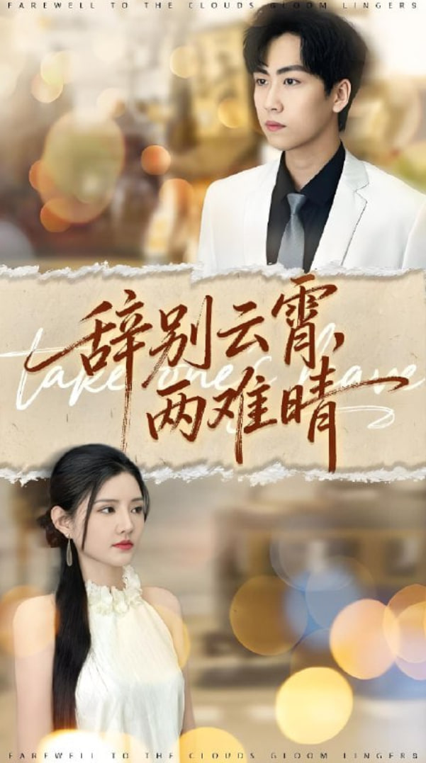 辞别云霄两难晴封面图